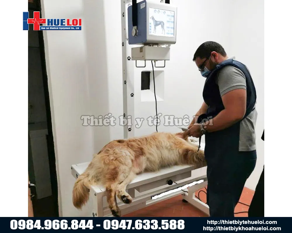 THIẾT BỊ CHẨN ĐOÁN HÌNH ẢNH X-QUANG THÚ Y DI ĐỘNG