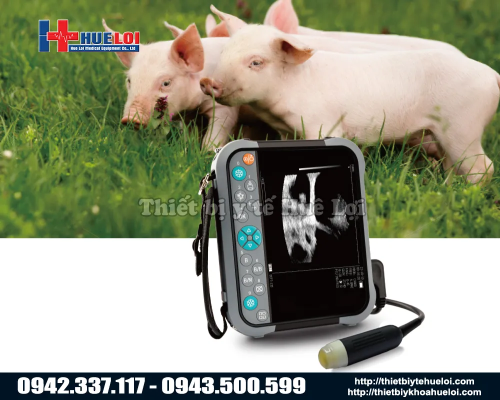 Máy siêu âm trang trại lợn di động giá rẻ