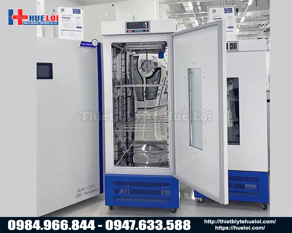Tủ môi trường vi khí hậu biobase chuyên dụng cho phòng thí nghiệm
