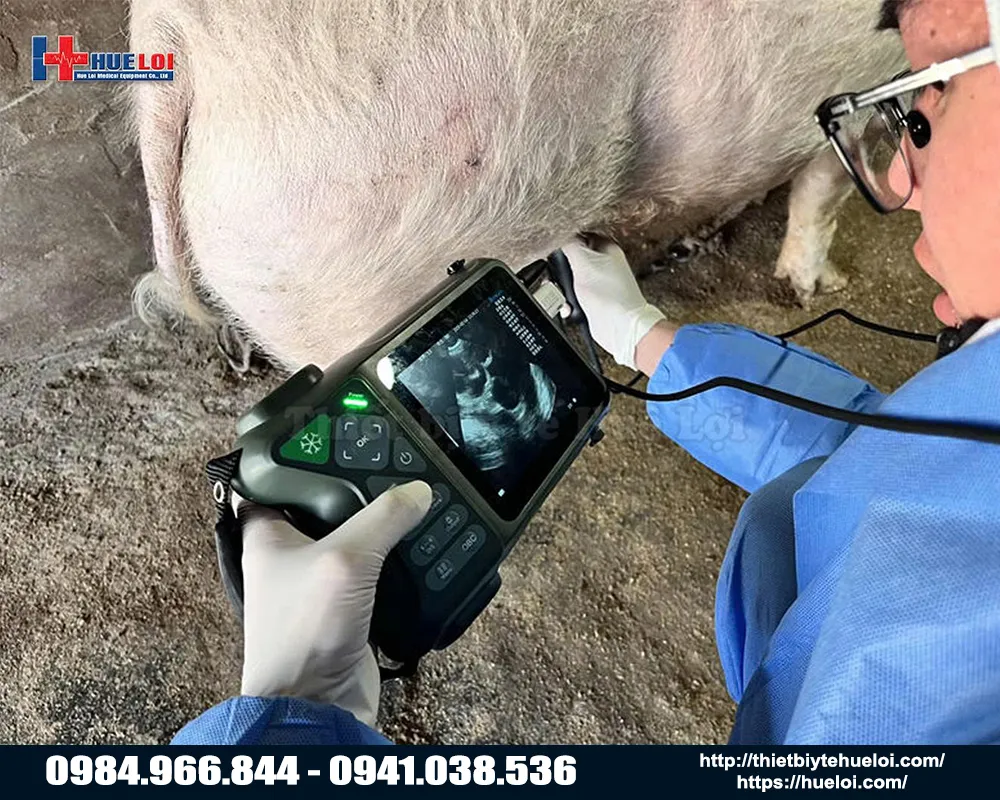 MÁY SIÊU ÂM THAI DI ĐỘNG CHUYÊN DỤNG CHO TRANG TRẠI LỢN