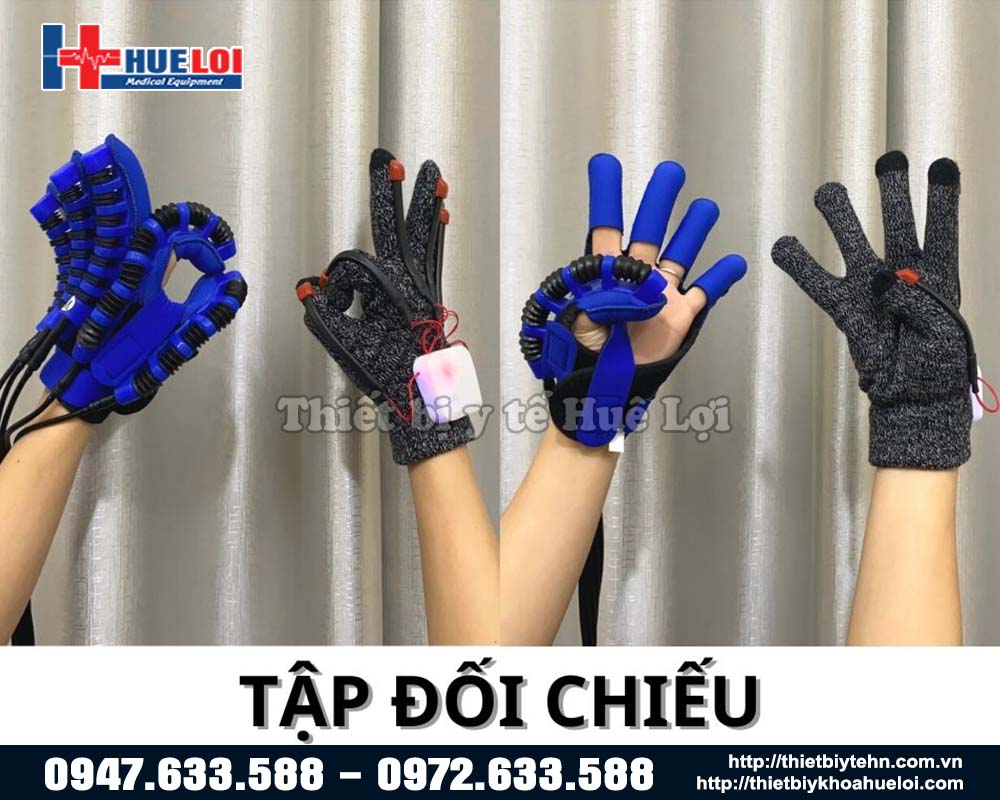 tập đối chiếu