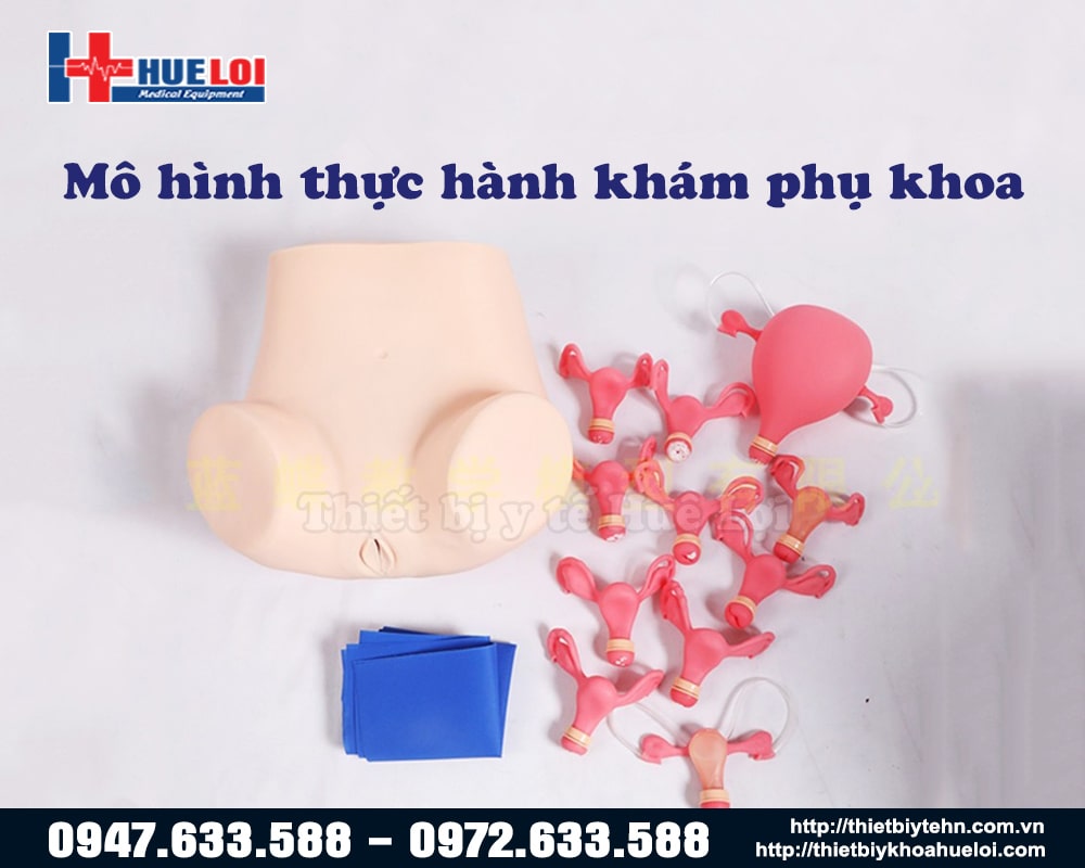 Mô hình đào tạo khám phụ khoa