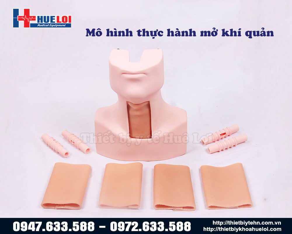 Mô hình thực hành mở khí quản