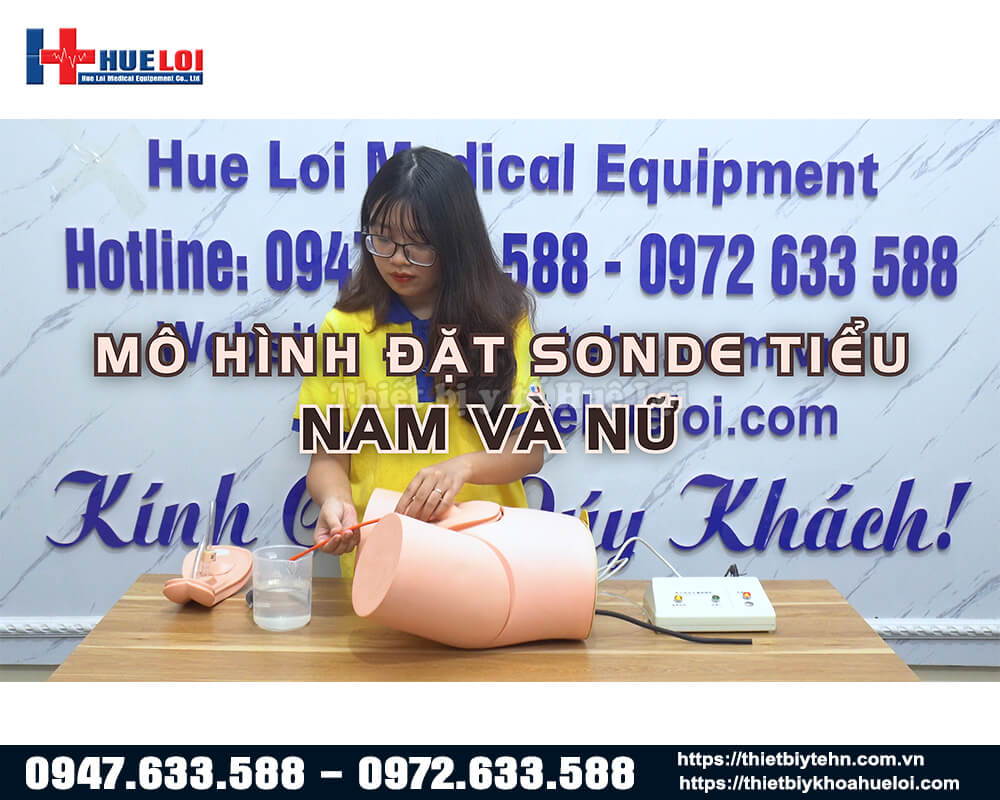 Mô hình thực hành sonde tiểu nam nữ và thụt tháo