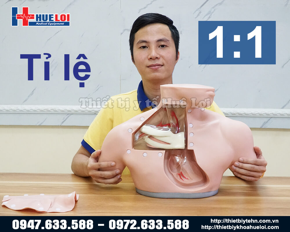 Mô hình thực hành đặt Catheter Tĩnh mạch trung tâm