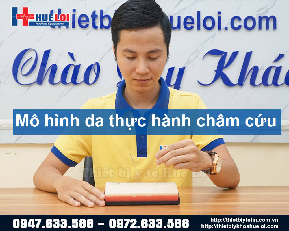 Mô hình châm cứu